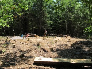 setting posts
